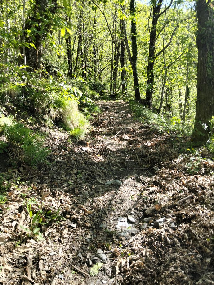 Monte Sumbra: escursione da Capanne di Careggine (panorami)