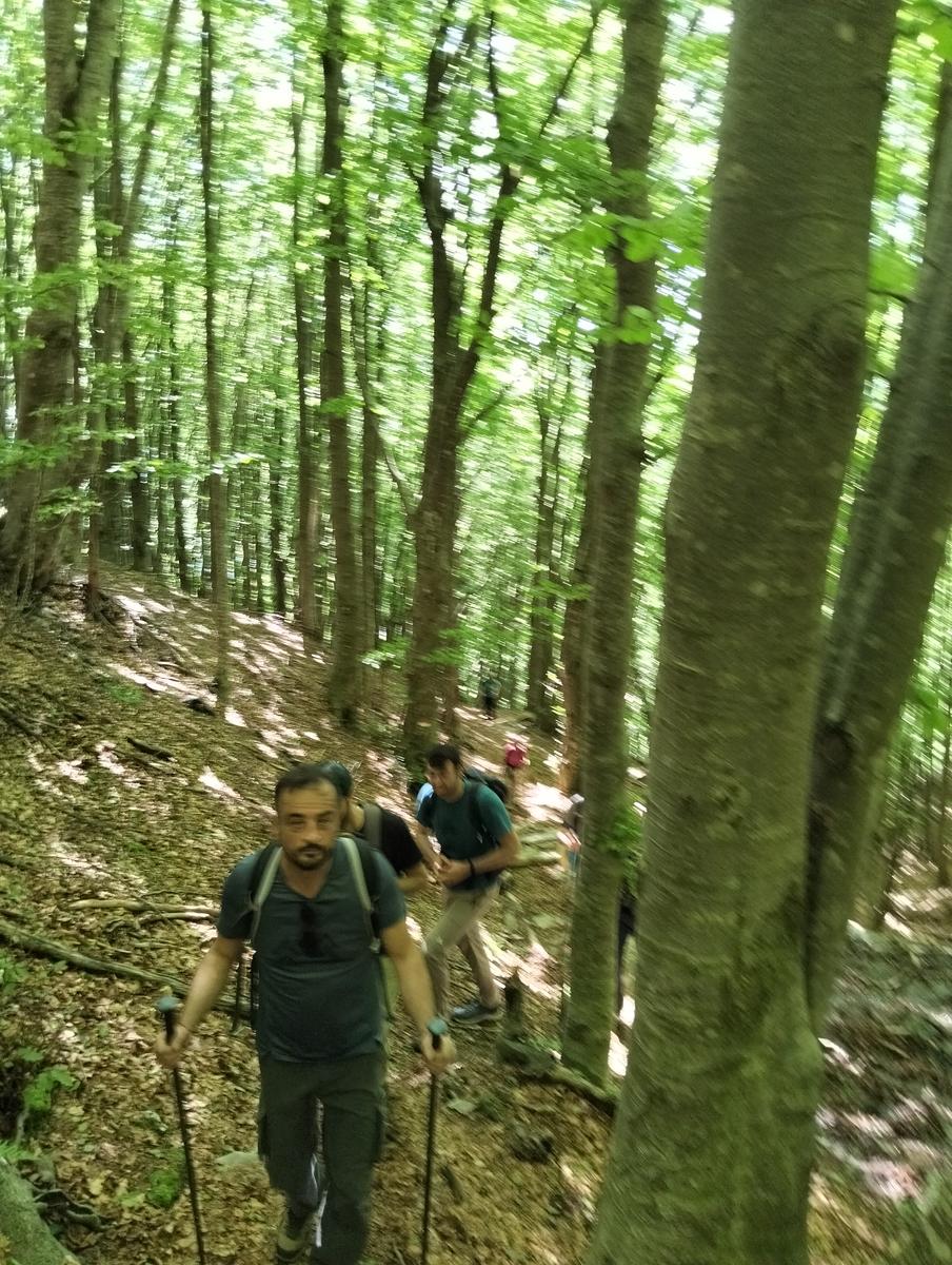 Monte Sumbra: escursione da Capanne di Careggine (panorami)
