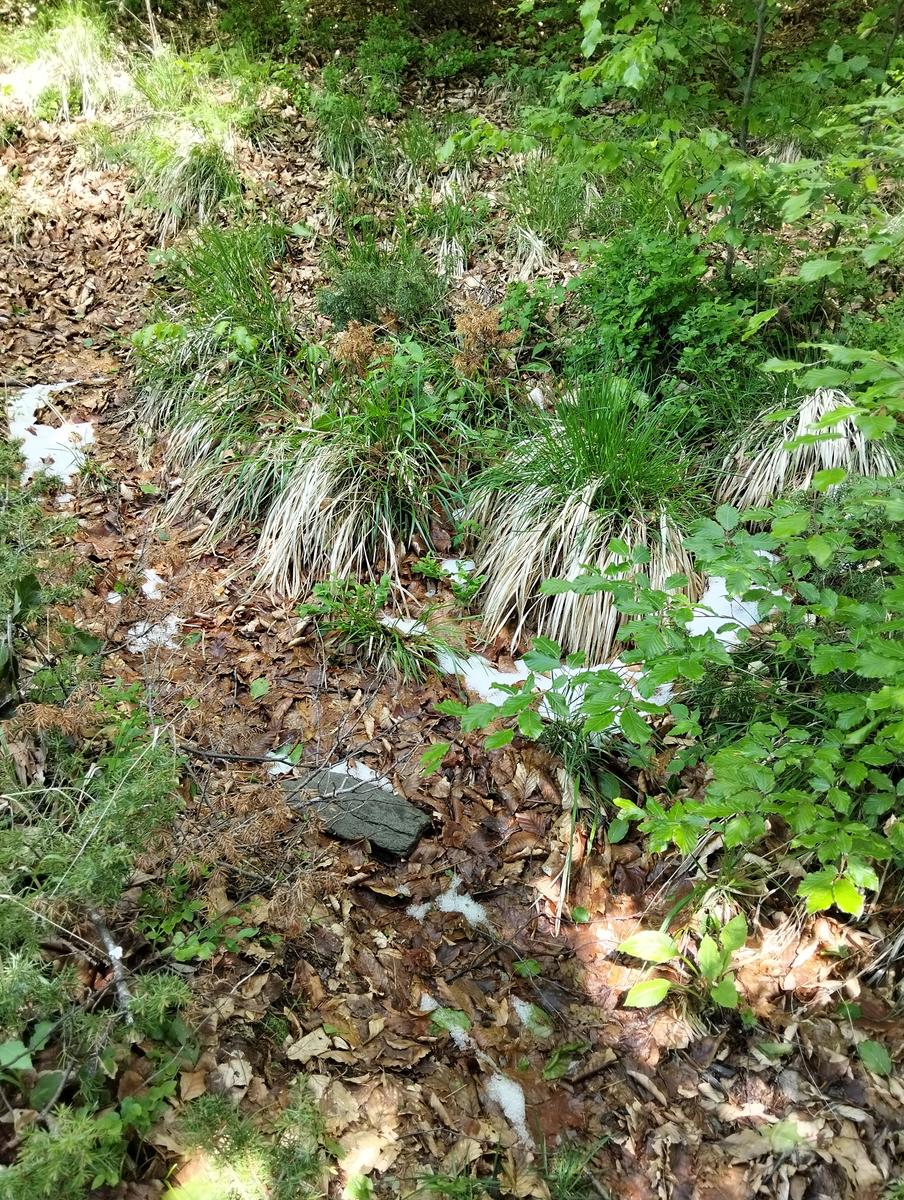 Monte Sumbra: escursione da Capanne di Careggine (panorami)