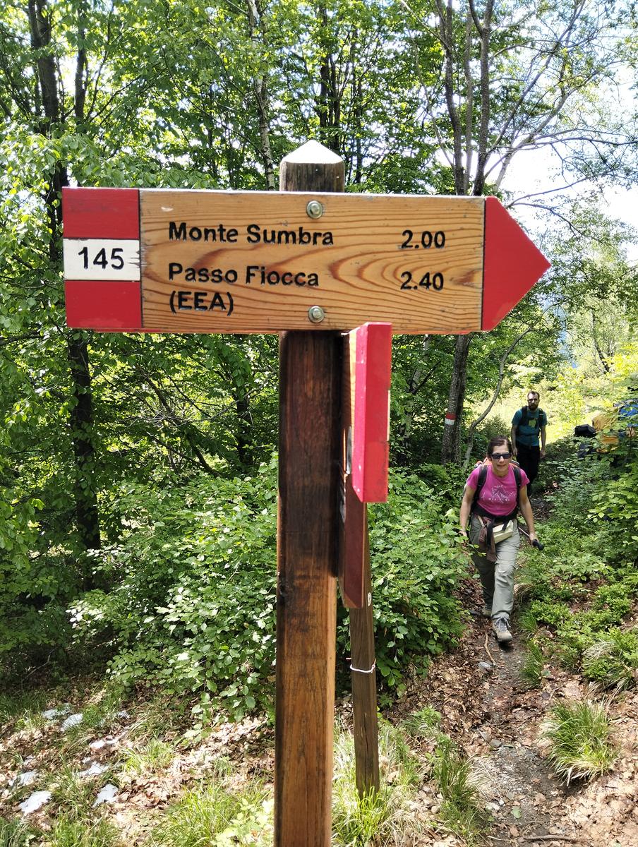 Monte Sumbra: escursione da Capanne di Careggine (panorami)