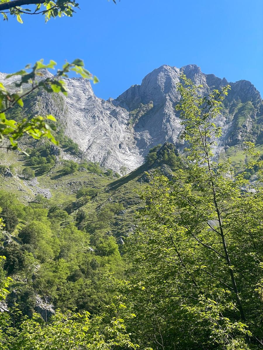 Monte Contrario: escursione ferrata da Biforco (difficile)