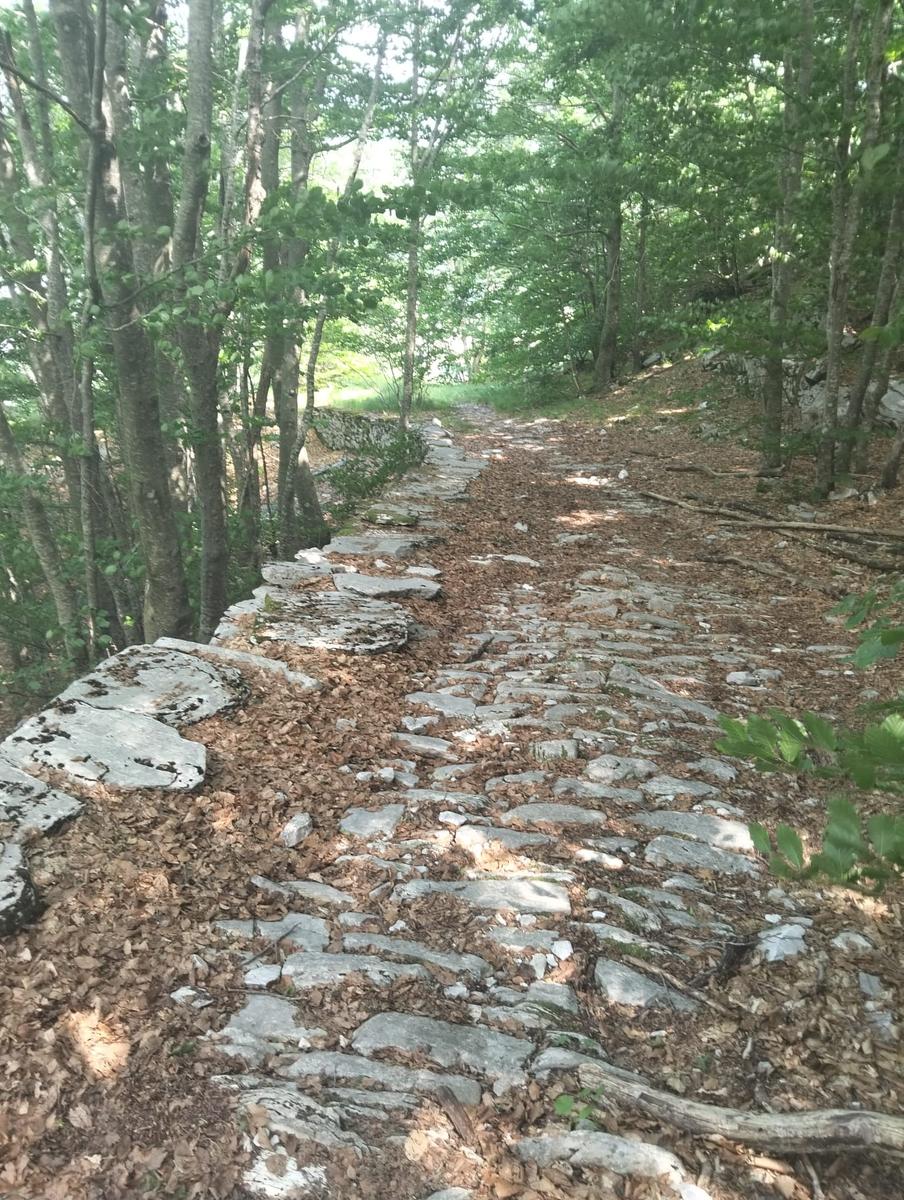 Monte Tambura: Escursione da Vagli Sopra (Anello Apuane)