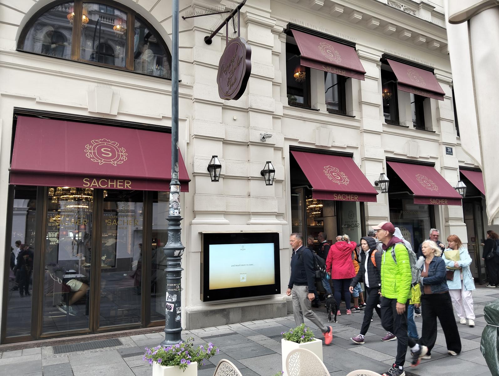 Vienna: Escursione a piedi dal Burgtor al Duomo (17km)