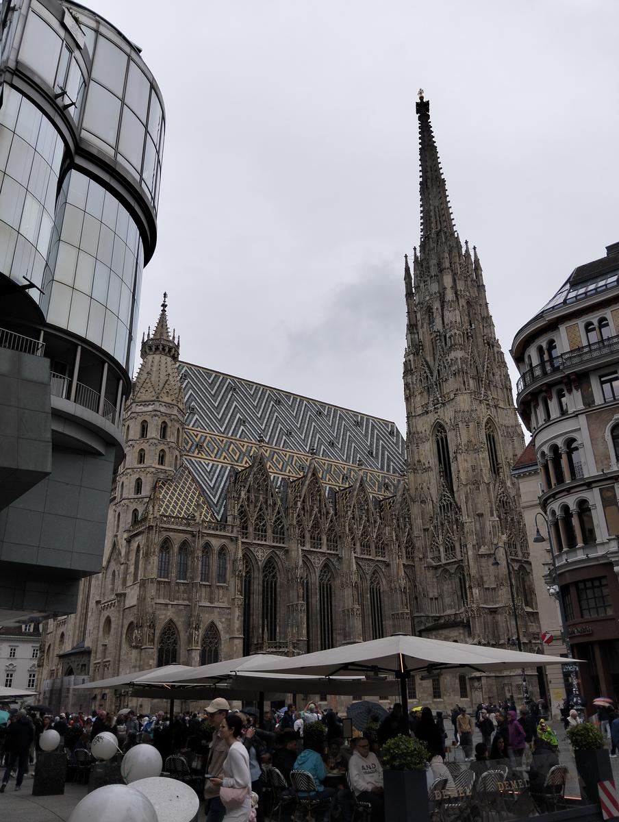 Vienna: Escursione a piedi dal Burgtor al Duomo (17km)