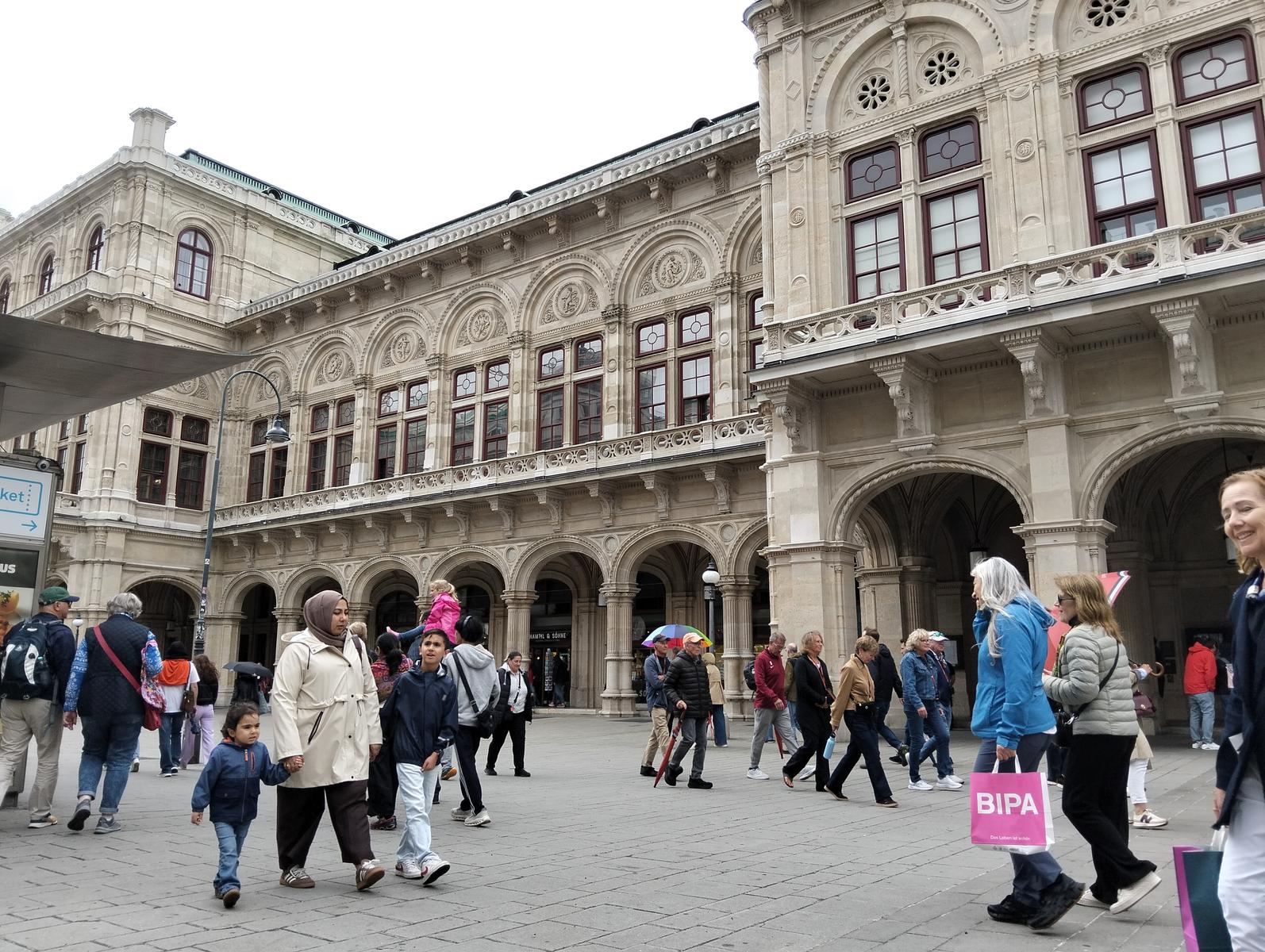Vienna: Escursione a piedi dal Burgtor al Duomo (17km)