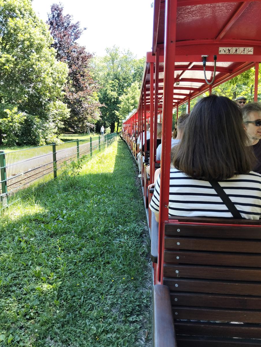 Vienna: Escursione Urbana da Fünfhaus (20km, Medio)