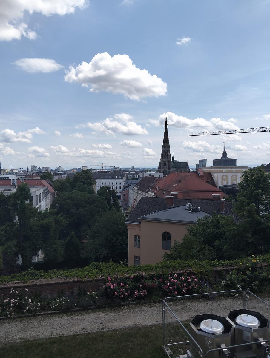 Linz: Esplora l'Innere Stadt a Piedi (Facile)