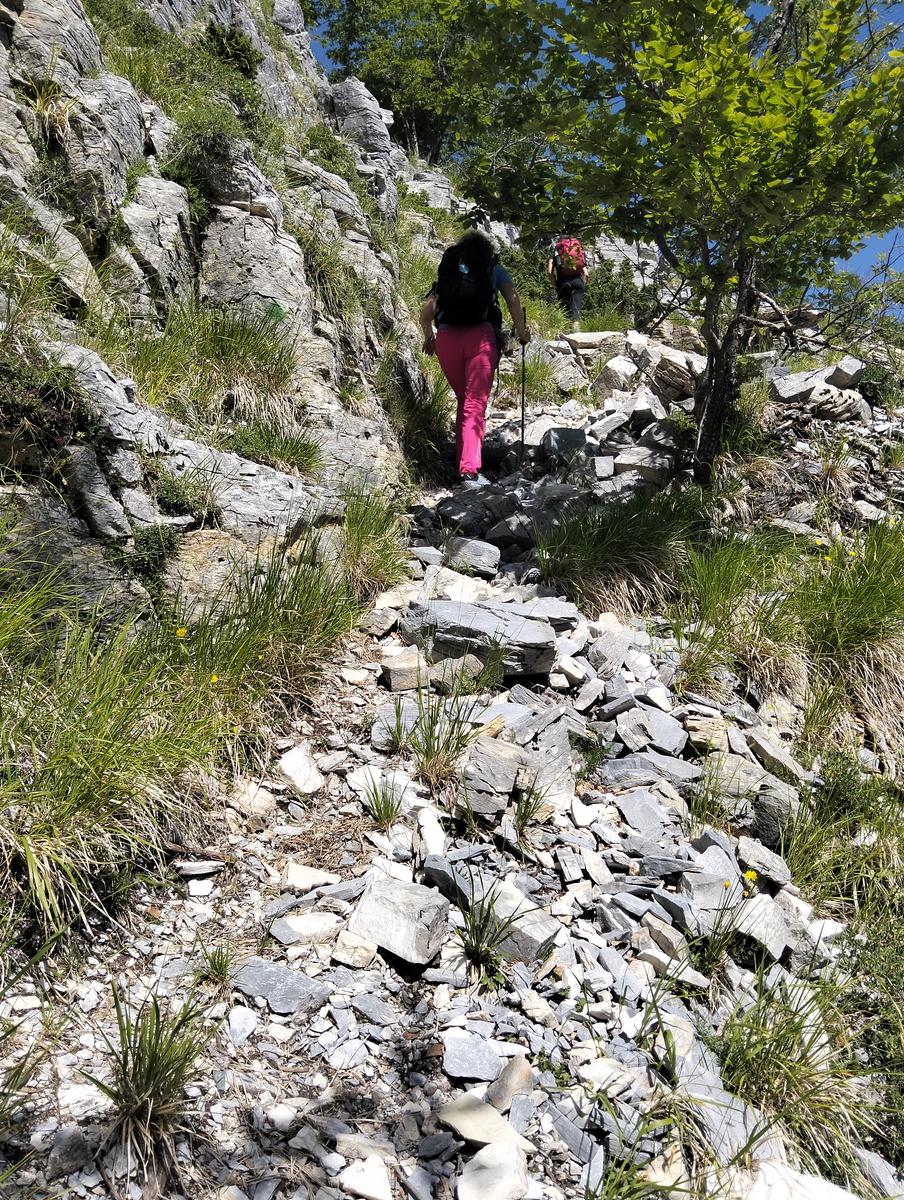 Pania Secca: escursione da Cornola (anello, 9.17km)