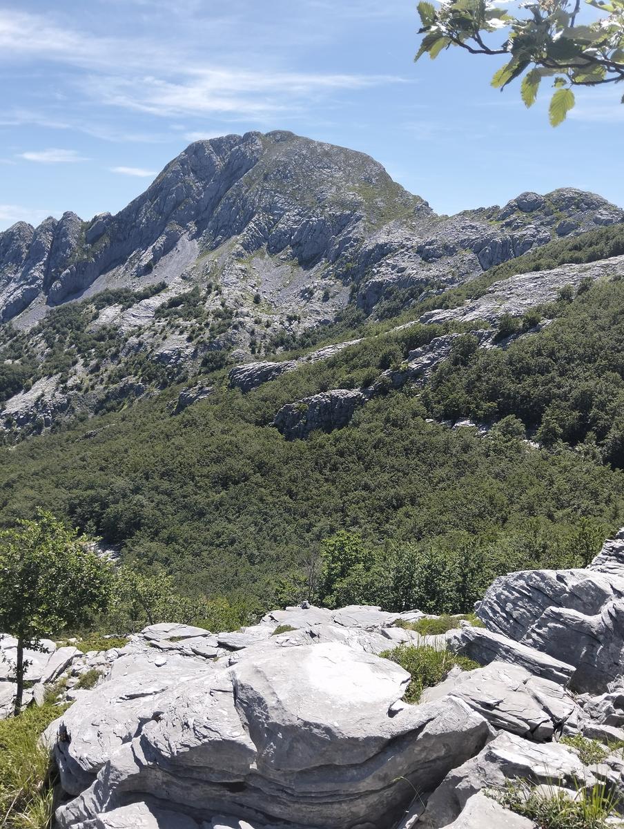 Pania Secca: escursione da Cornola (anello, 9.17km)