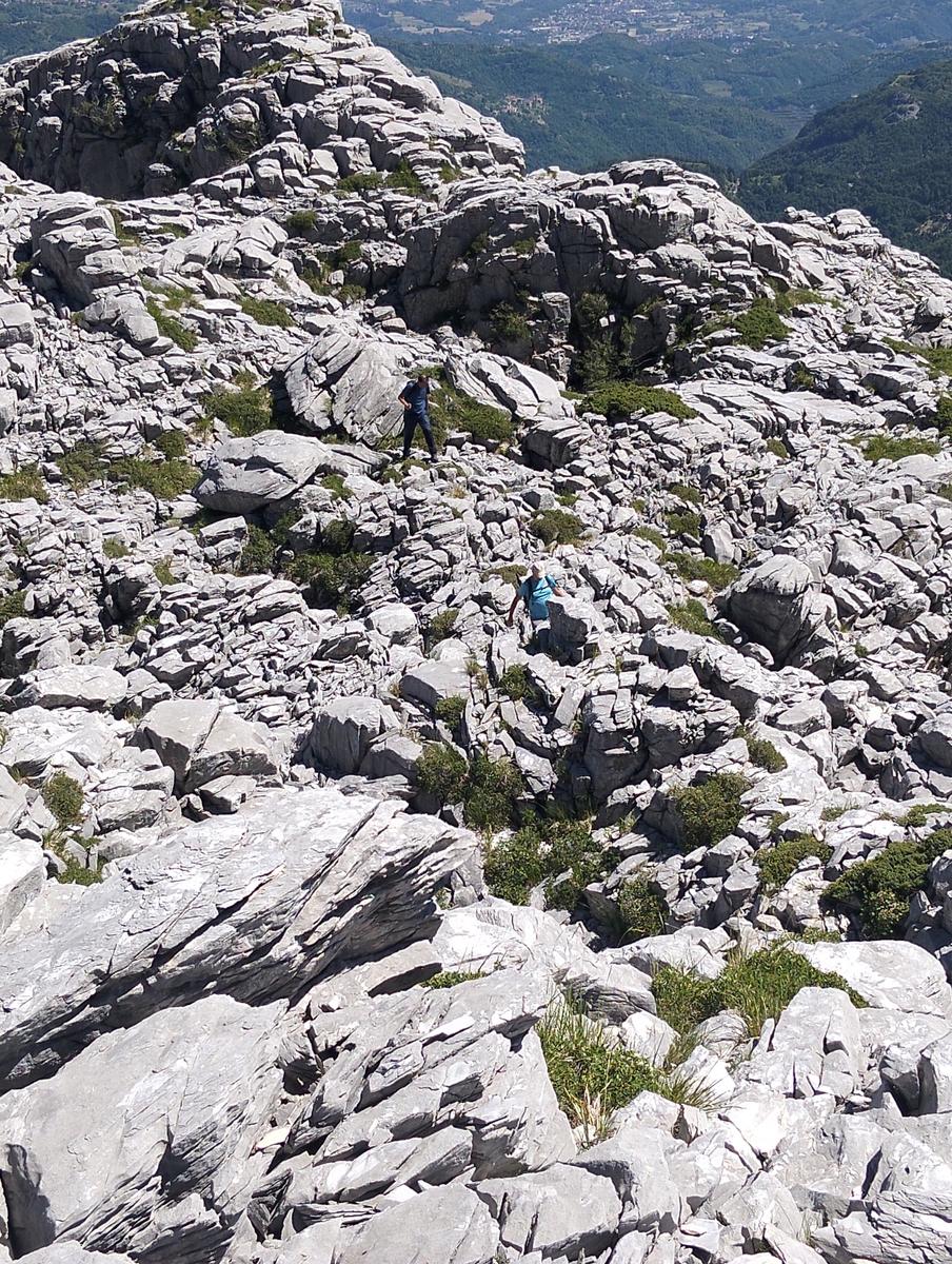 Pania Secca: escursione da Cornola (anello, 9.17km)