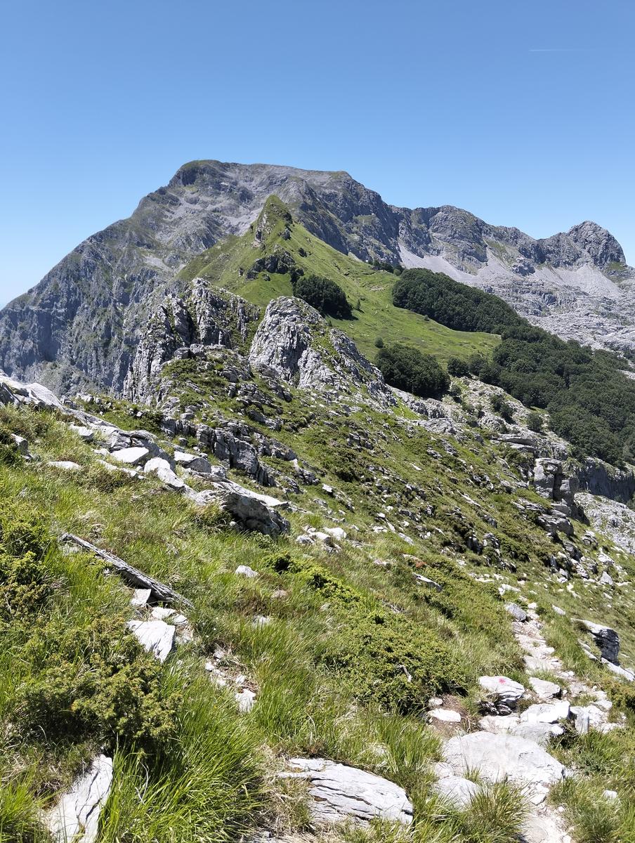 Pania Secca: escursione da Cornola (anello, 9.17km)
