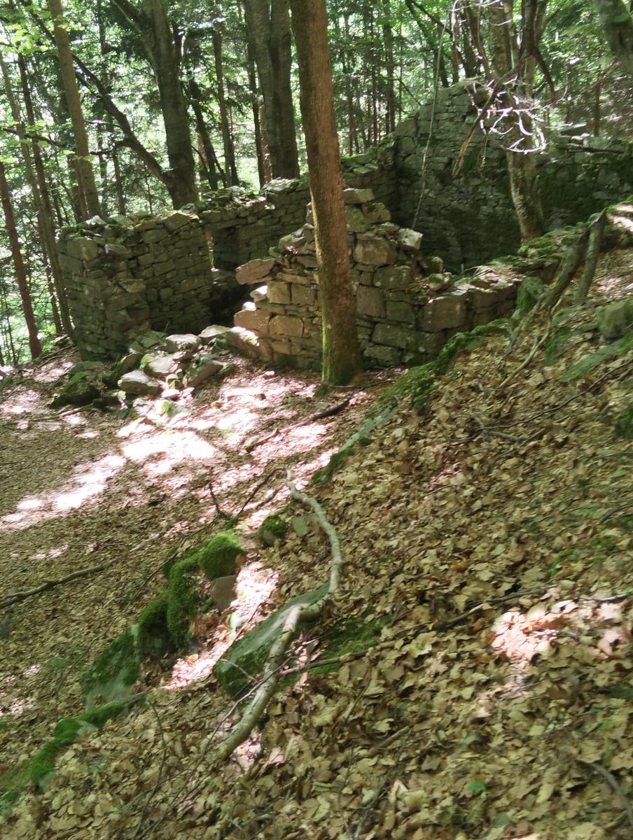 Cascate di Sant'Anna Pelago: escursione con Cime di Romec...