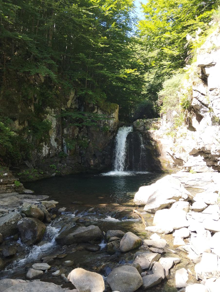 Cascate di Sant'Anna Pelago: escursione con Cime di Romec...