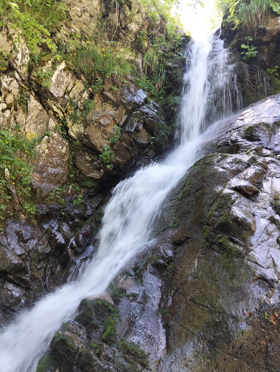 Cascate di Sant'Anna Pelago: escursione con Cime di Romec...