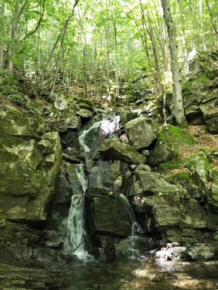 Cascate di Sant'Anna Pelago: escursione con Cime di Romec...