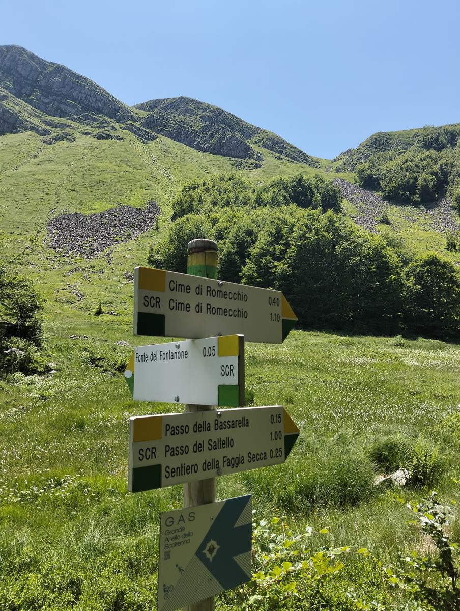 Cascate di Sant'Anna Pelago: escursione con Cime di Romec...