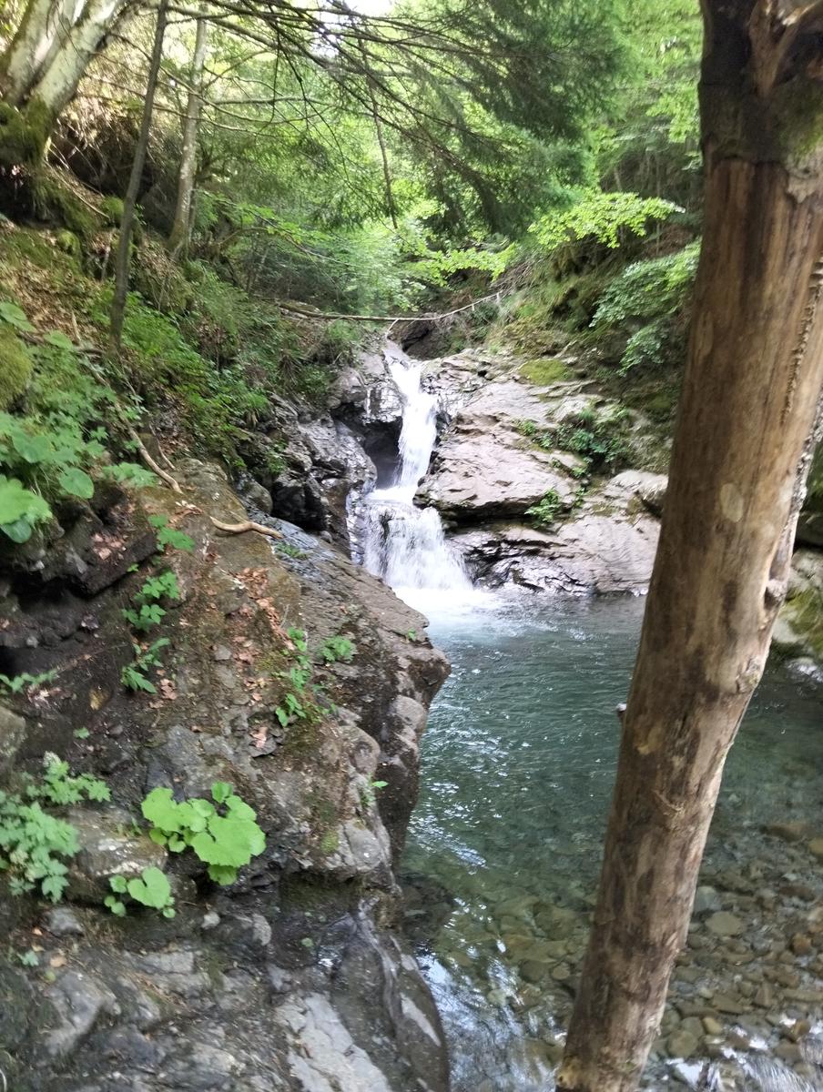 Cascate di Sant'Anna Pelago: escursione con Cime di Romec...