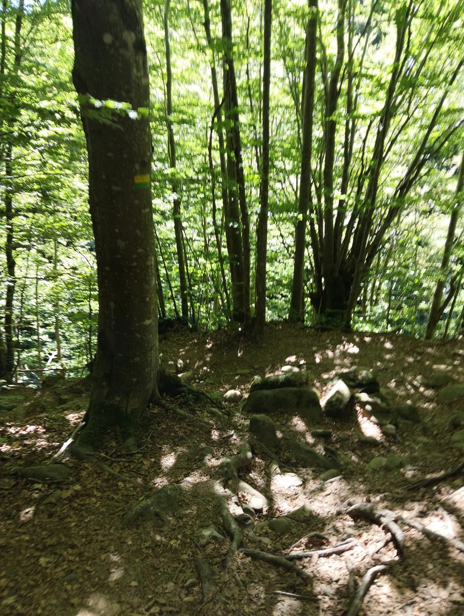 Cascate di Sant'Anna Pelago: escursione con Cime di Romec...