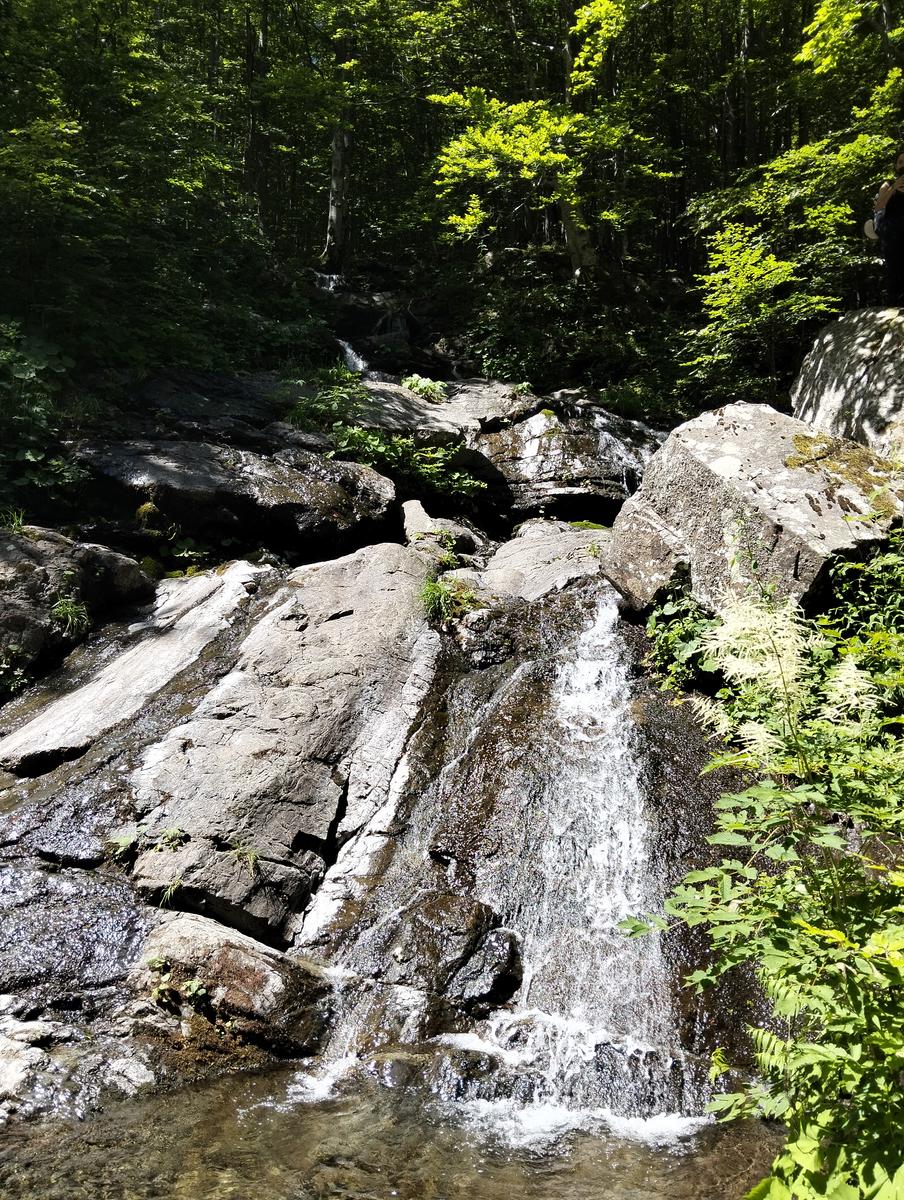 Cascate di Sant'Anna Pelago: escursione con Cime di Romec...