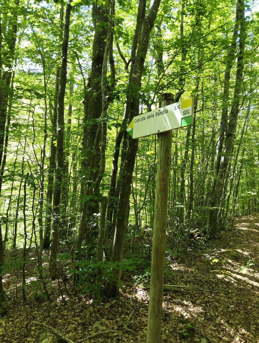Cascate di Sant'Anna Pelago: escursione con Cime di Romec...