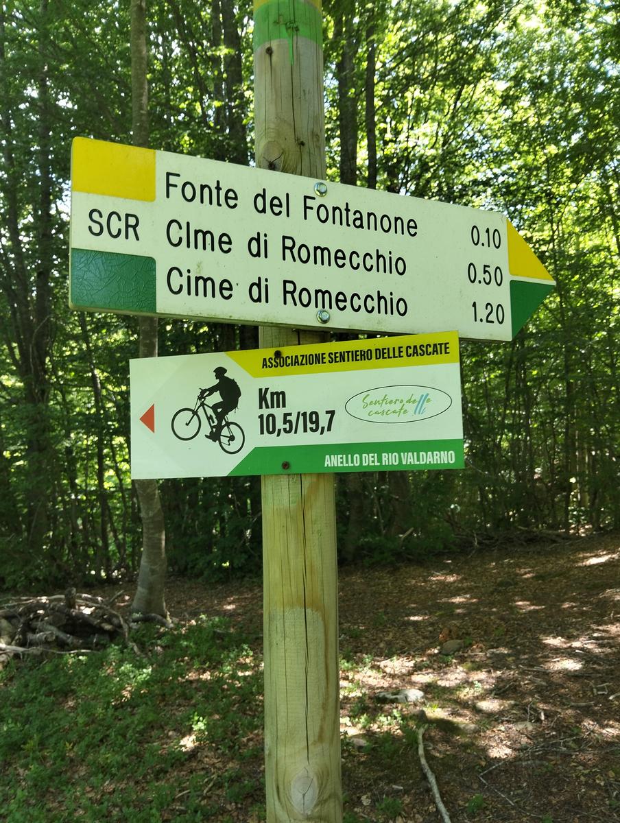 Cascate di Sant'Anna Pelago: escursione con Cime di Romec...