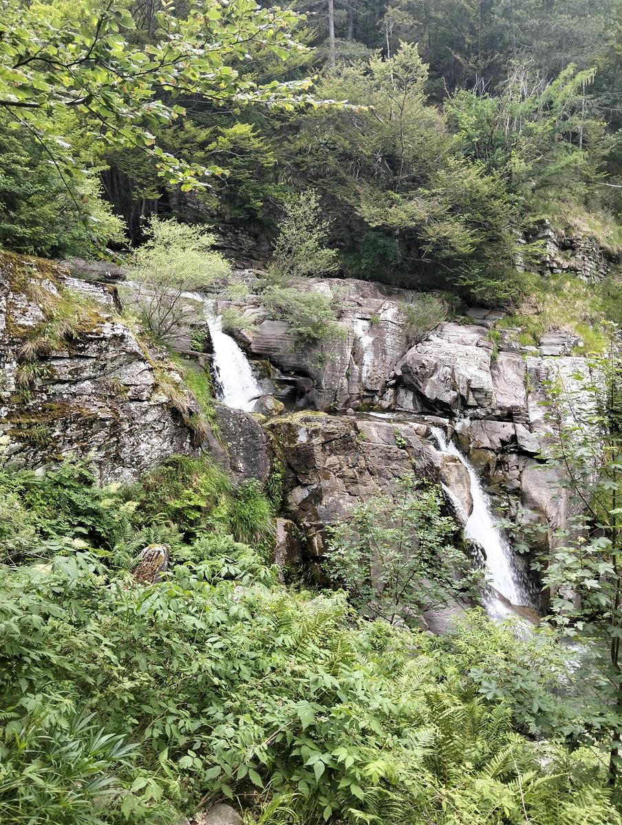 Cascate di Sant'Anna Pelago: escursione con Cime di Romec...
