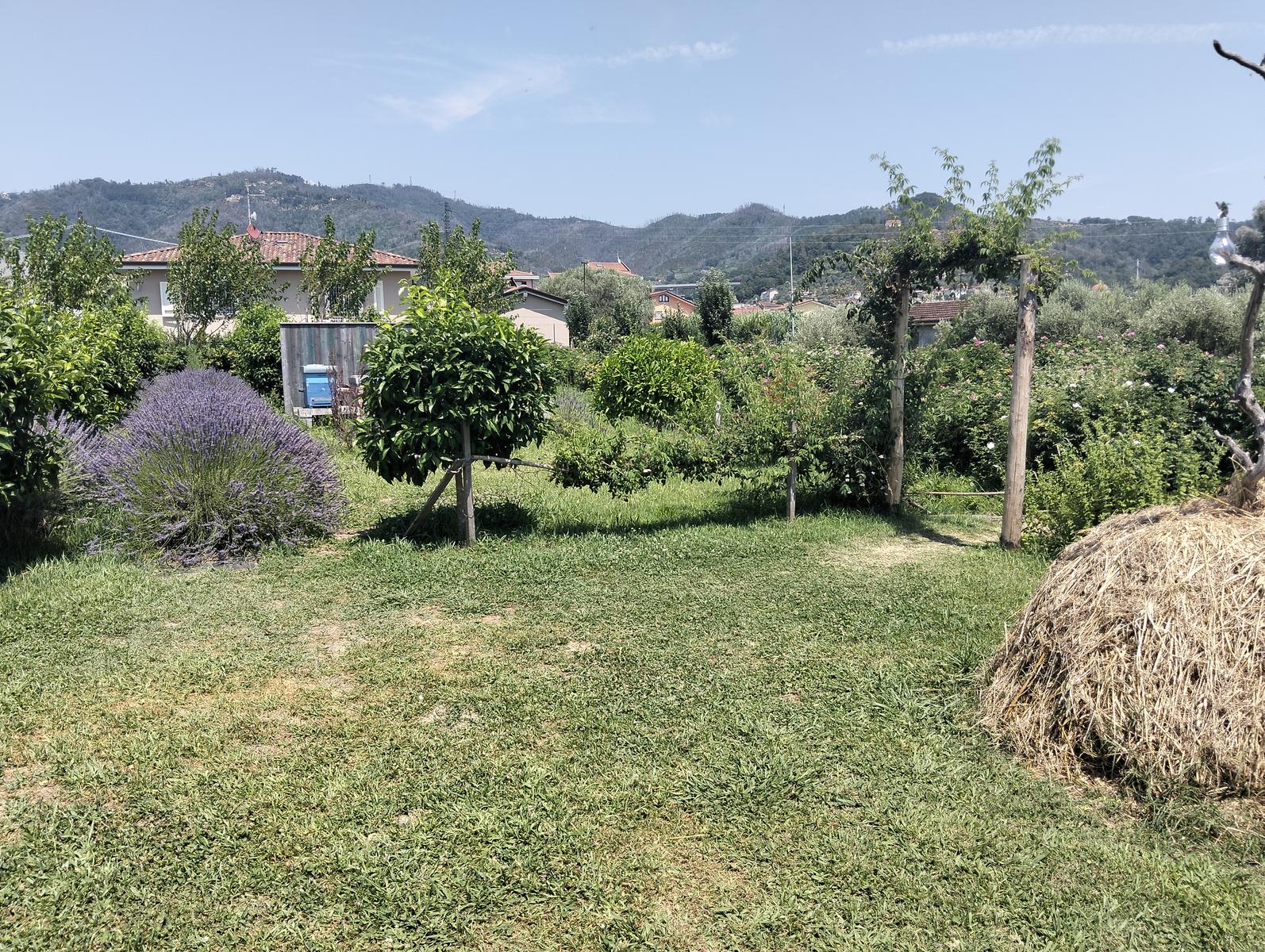 Via delle Erbe Massarosa: escursione fiori loto (Toscana)