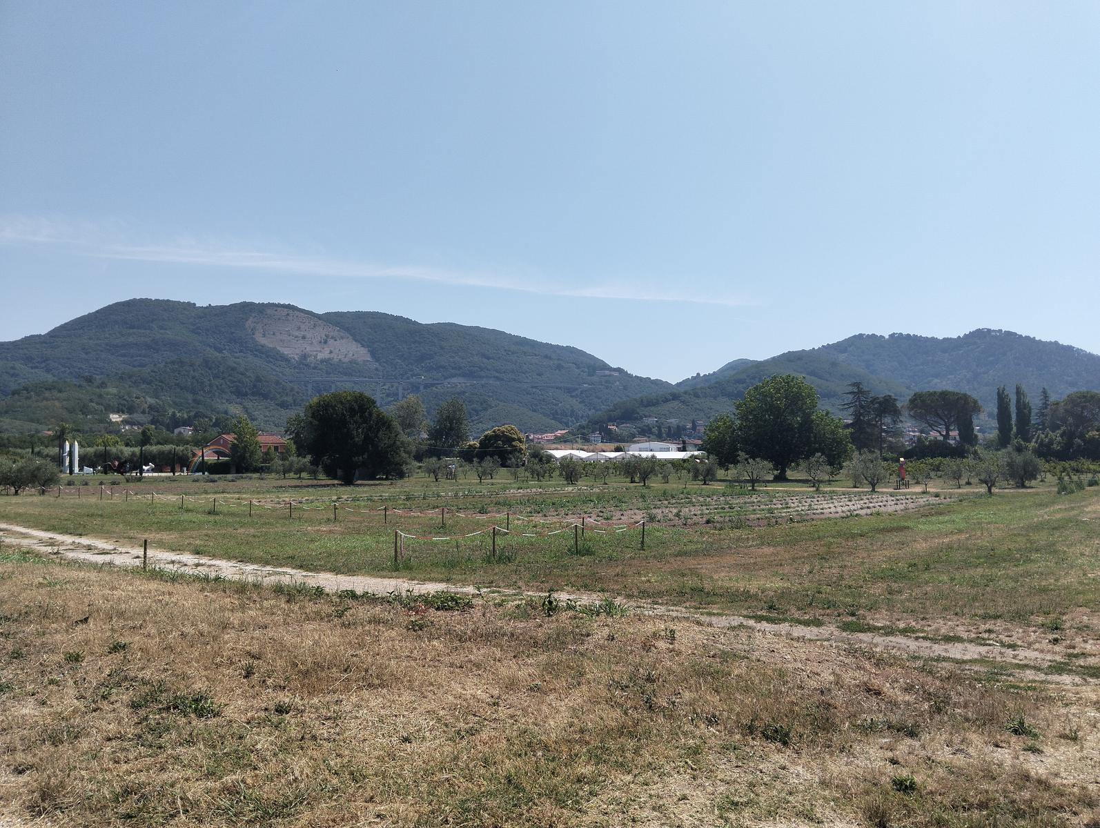 Via delle Erbe Massarosa: escursione fiori loto (Toscana)