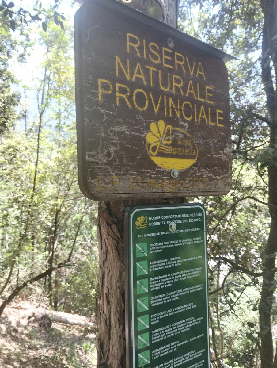 Rino Pisetta: escursione ferrata da Sarche (difficile)