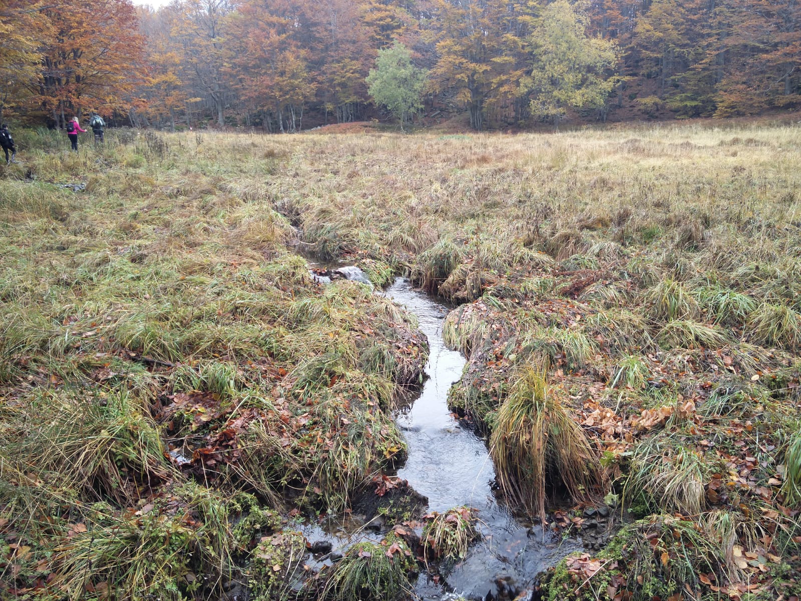Foce a giovo - Lago santo - Lago baccio - Monte Rondinaio - Lago turchino
