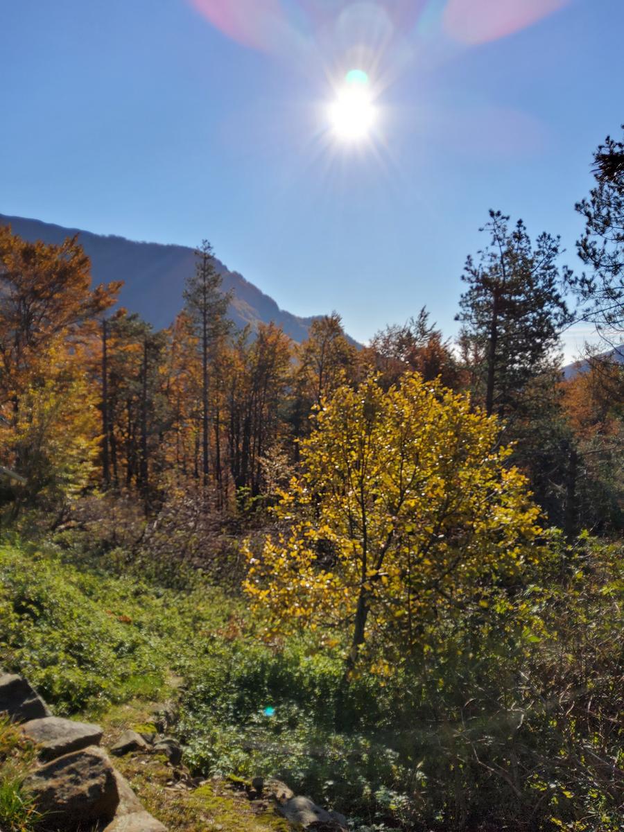 Foce a giovo - Lago santo - Lago baccio - Monte Rondinaio - Lago turchino - foto 2