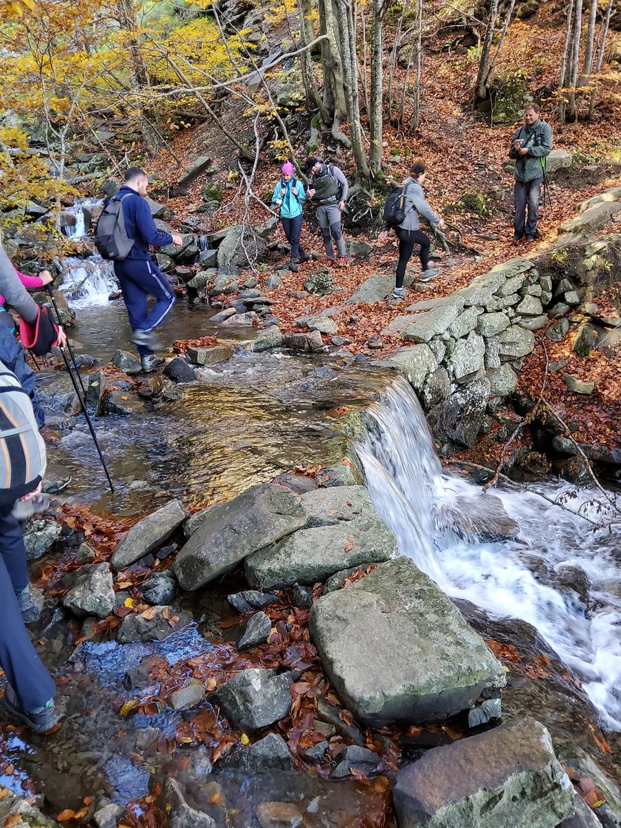 Foce a giovo - Lago santo - Lago baccio - Monte Rondinaio - Lago turchino - foto 7