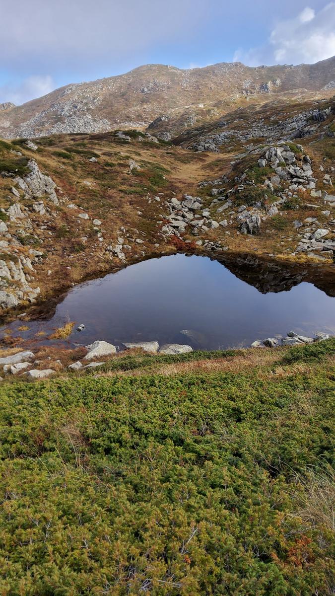 Foce a giovo - Lago santo - Lago baccio - Monte Rondinaio - Lago turchino - foto 11