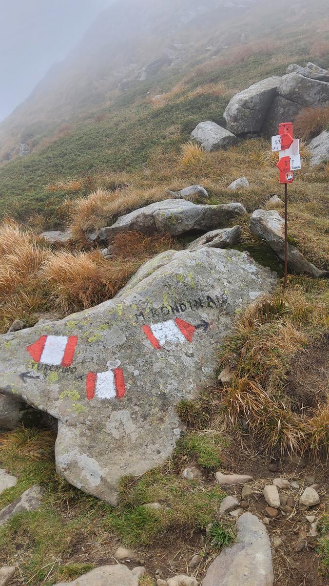 Foce a giovo - Lago santo - Lago baccio - Monte Rondinaio - Lago turchino - foto 15