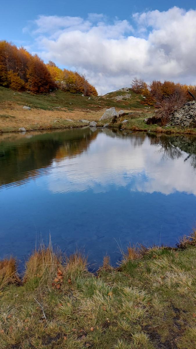 Foce a giovo - Lago santo - Lago baccio - Monte Rondinaio - Lago turchino - foto 16