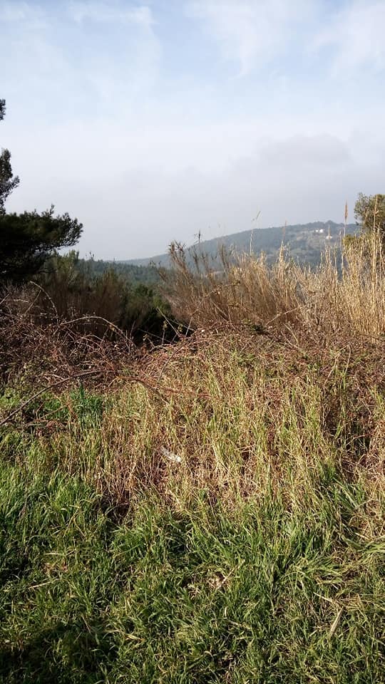 Sentiero del Pellegrino - Castellaccio