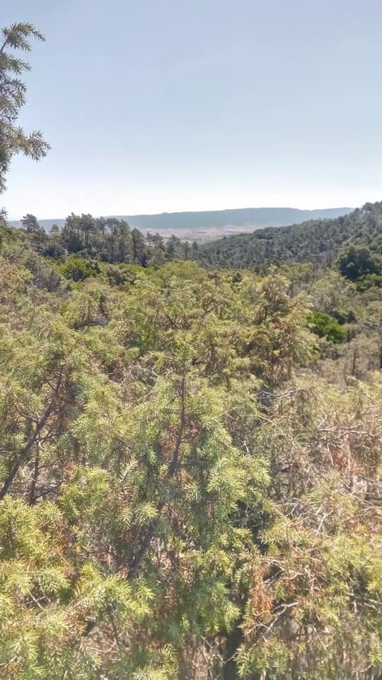 Valle Benedetta - Parrana San Martino