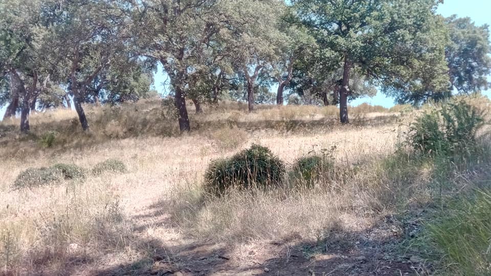 Grosseto Riserva Naturale