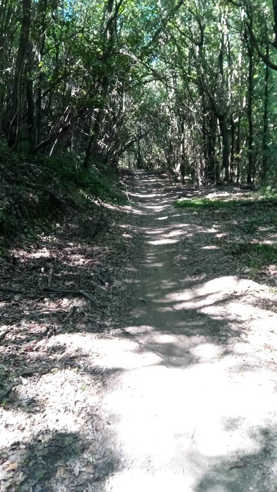 Calambrone - Passeggiata