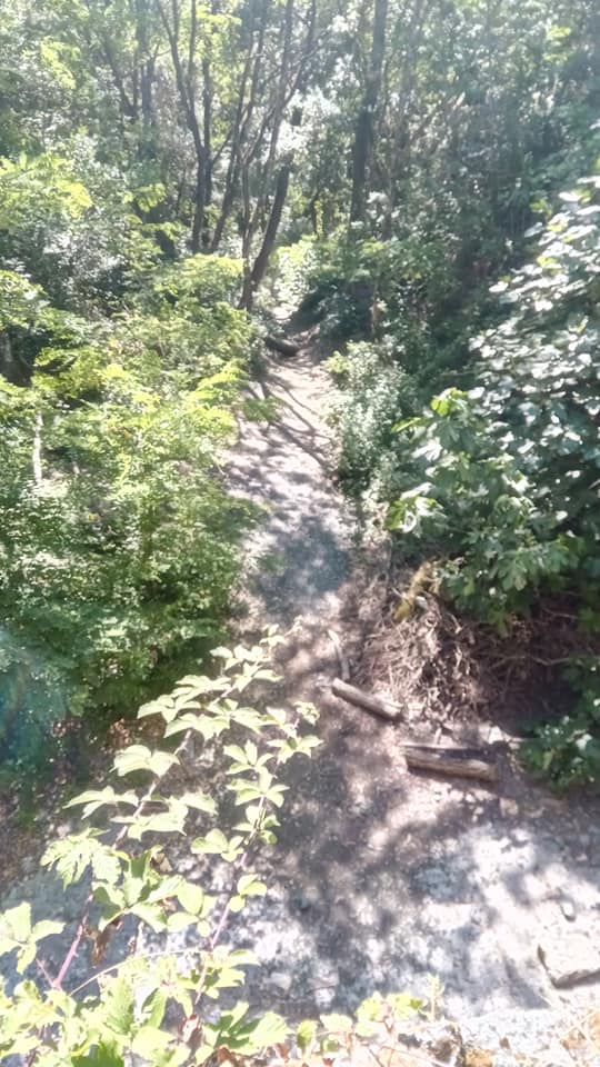 Valle benedetta - acquedotto di Colognole v3