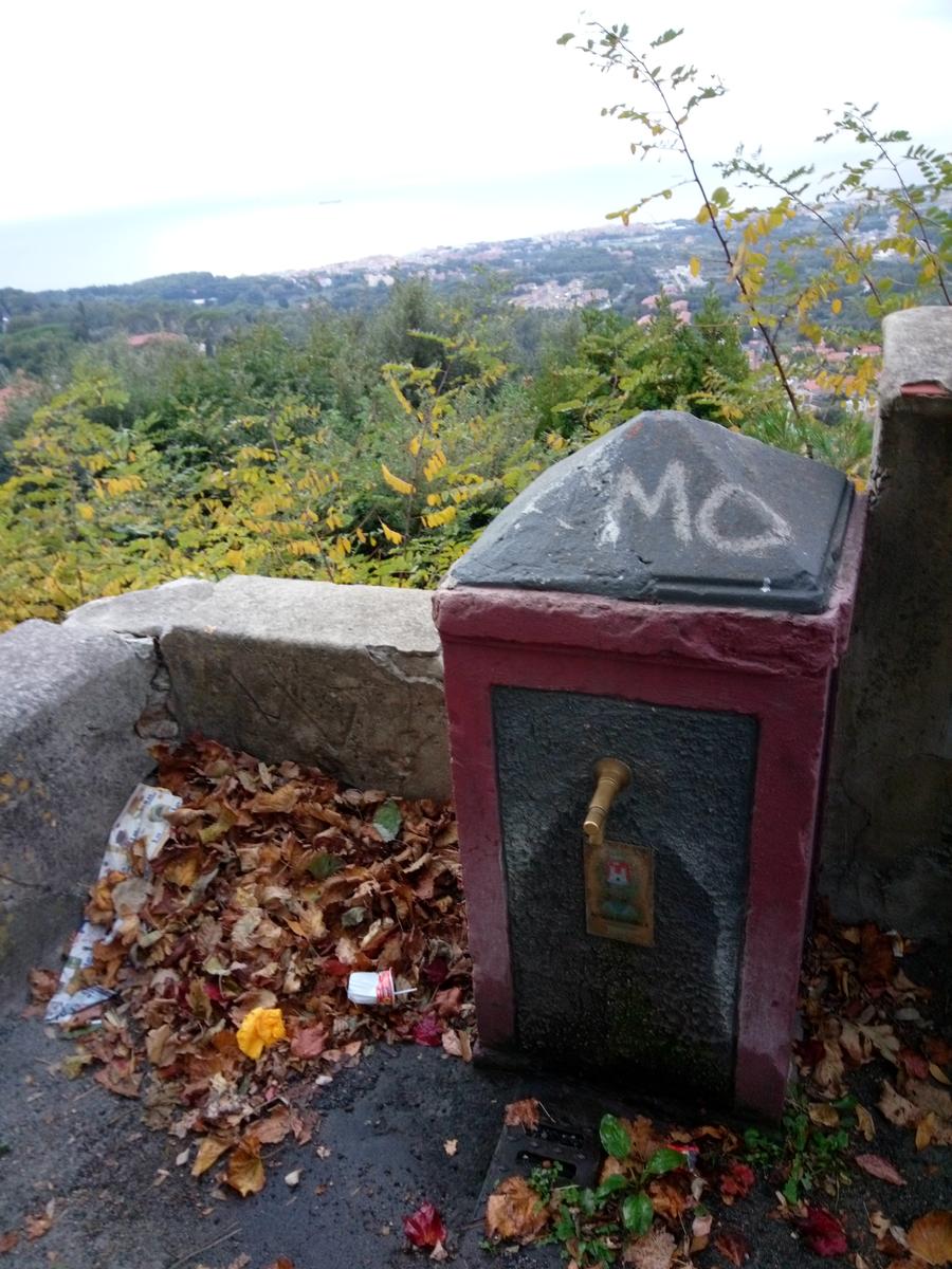 Anello: Livorno - Montenero - Castellaccio - foto 4