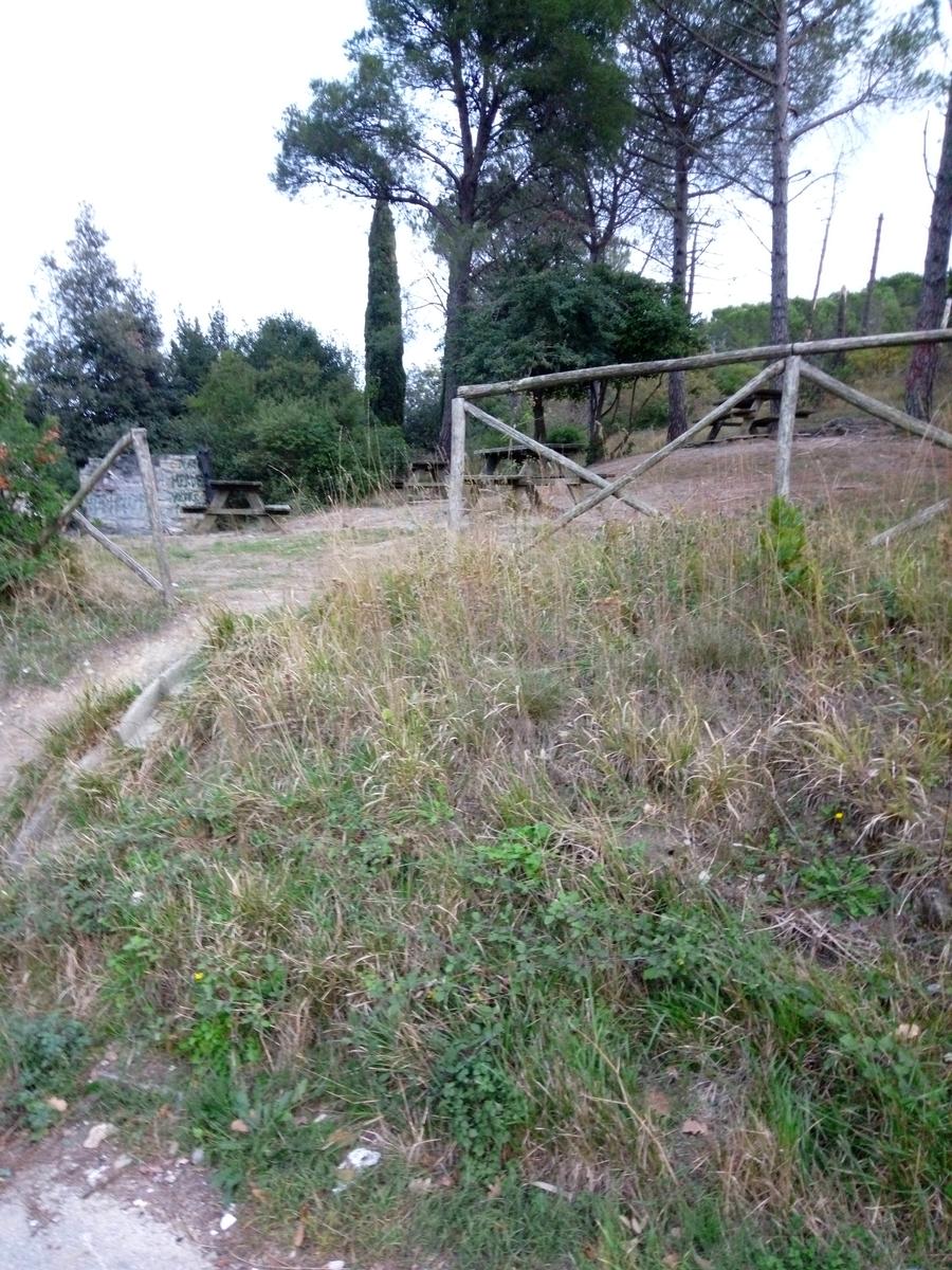 Anello: Livorno - Montenero - Castellaccio - foto 6