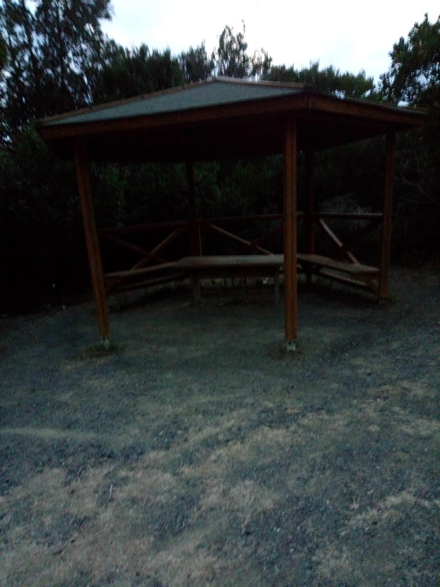 Anello: Livorno - Montenero - Castellaccio - foto 7