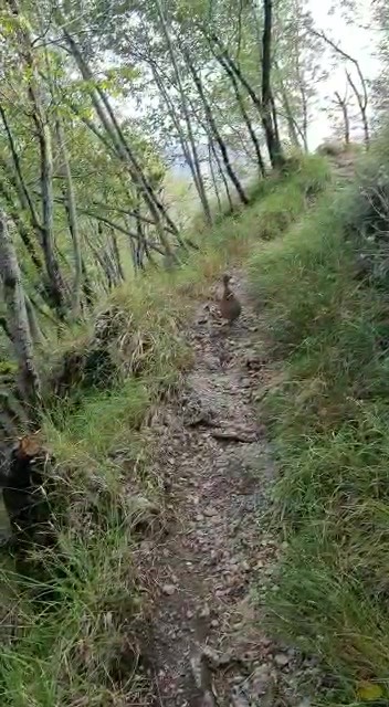 Parrana - Colognole - Valle Benedetta