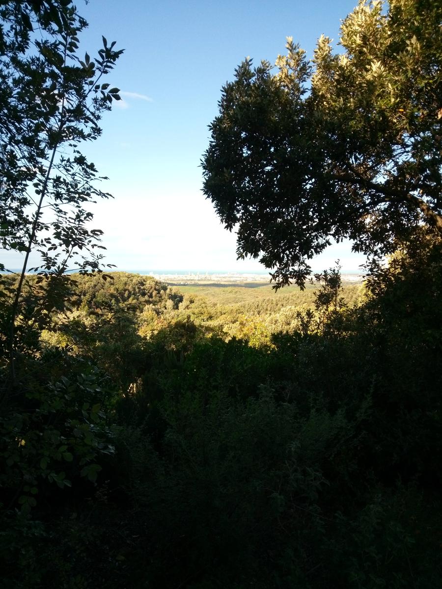 Puzzolente - Valle Benedetta (Per la direttissima) - foto 2