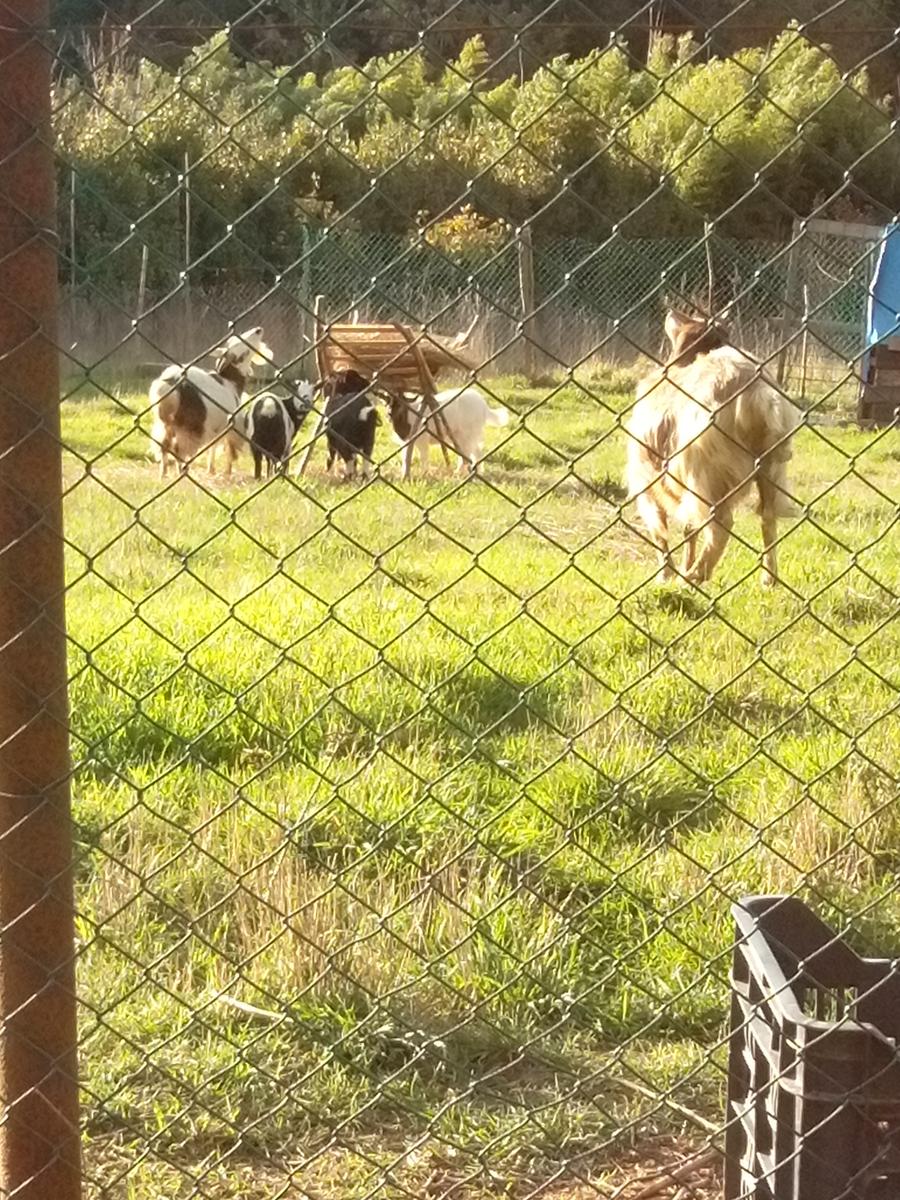 Puzzolente - Valle Benedetta (Per la direttissima) - foto 11