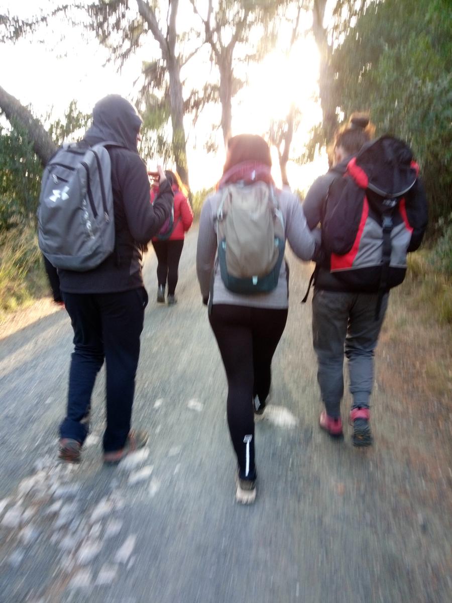 Monte Pelato - foto 9