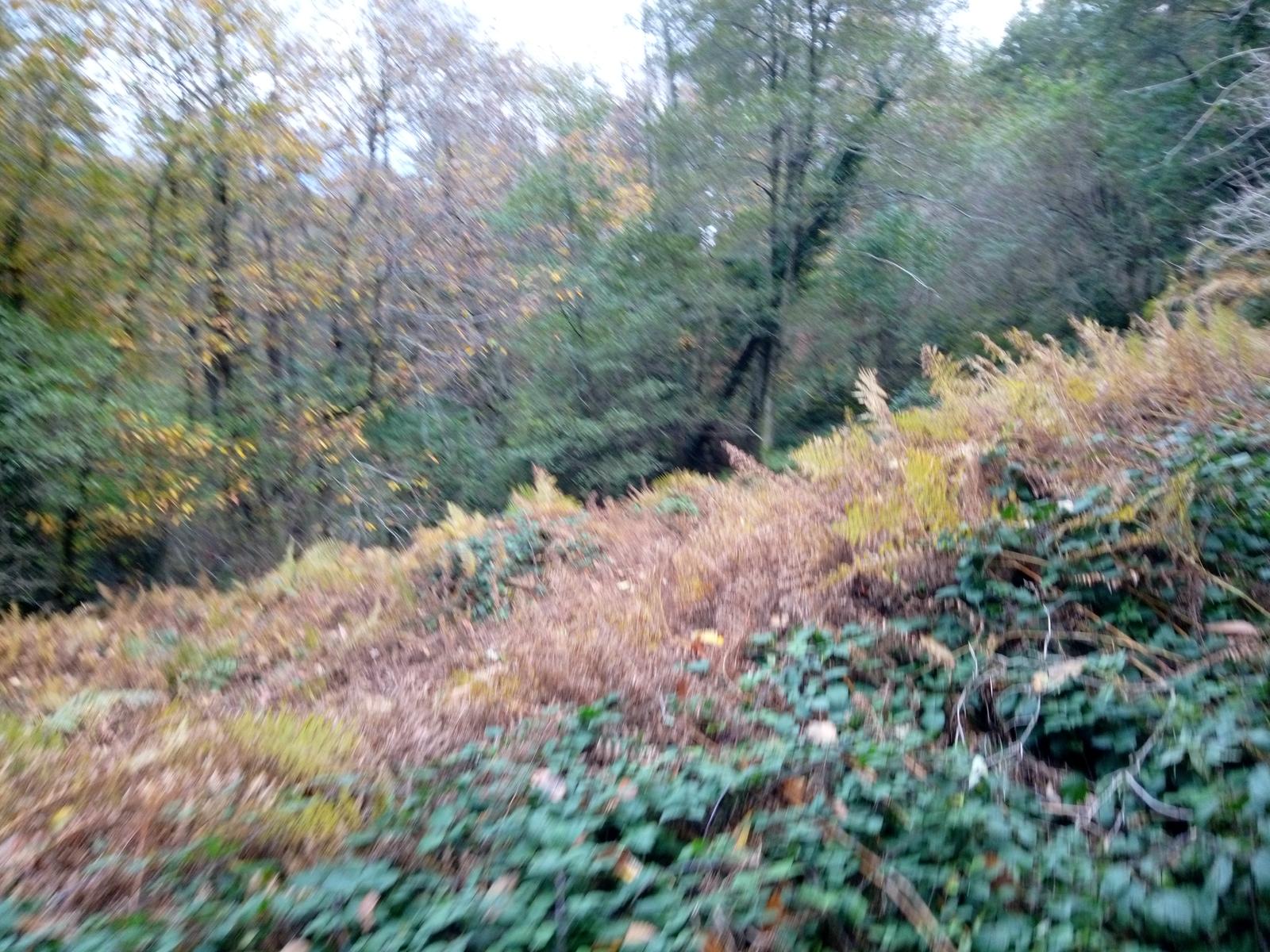 Torcigliano - Pedone - Prana - Campo All'orzo - Baite - foto 19