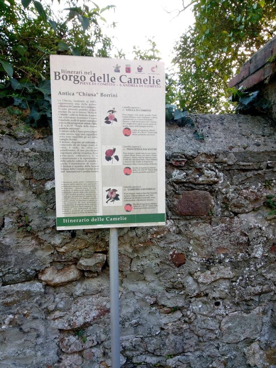 Camelieto - Anello - foto 2