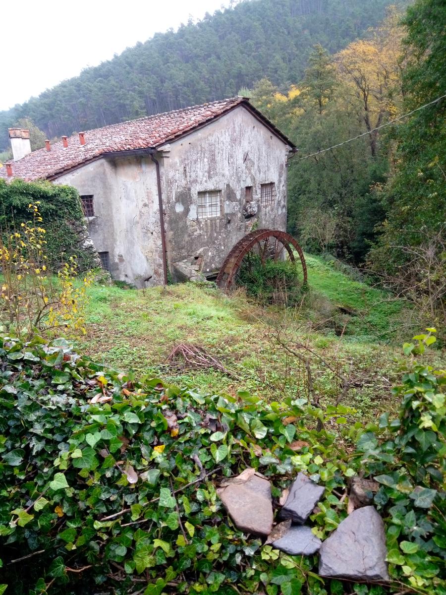 Camelieto - Anello - foto 3